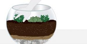 Amarillento creencia Intuición ≫ Consejos para plantar cactus paso a paso | Como-plantar.org