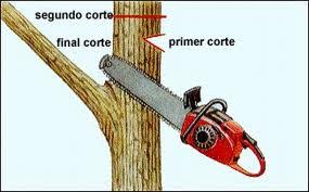corte de poda